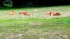 MU0WLV Image